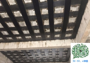 海拉尔厂房碳纤维加固